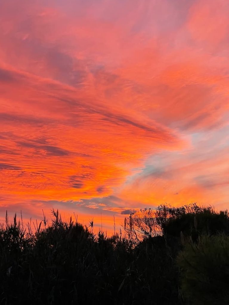 Yelina Jimenez Sobre mi